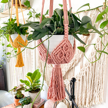 Load image into Gallery viewer, Spring Plant Hangers
