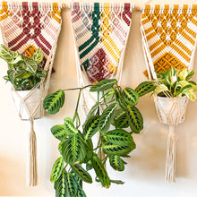 Load image into Gallery viewer, Wall Decor Plant Hanger