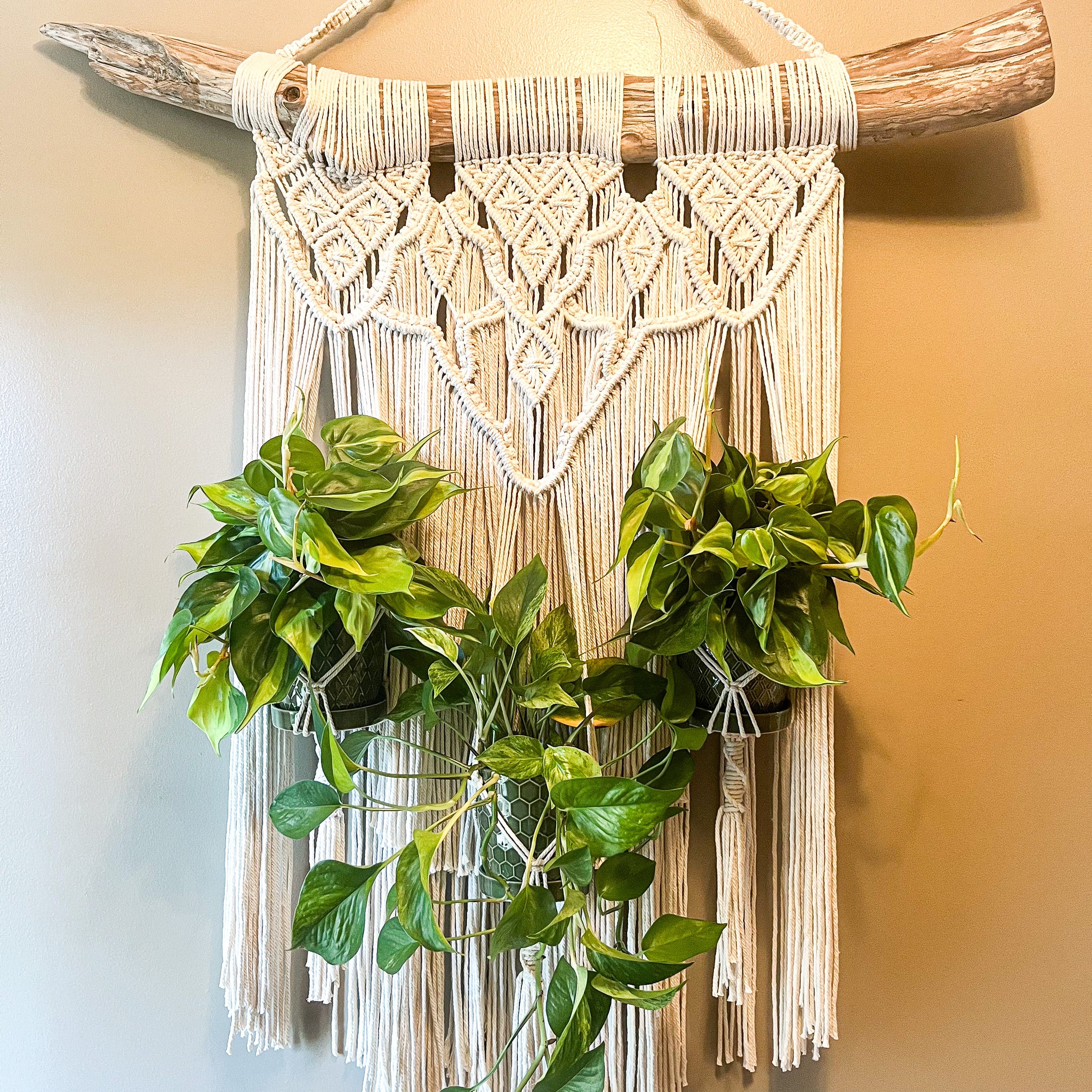 macrame wall hanging with plant holder Macrame wall art plant holder – twangelacrafted