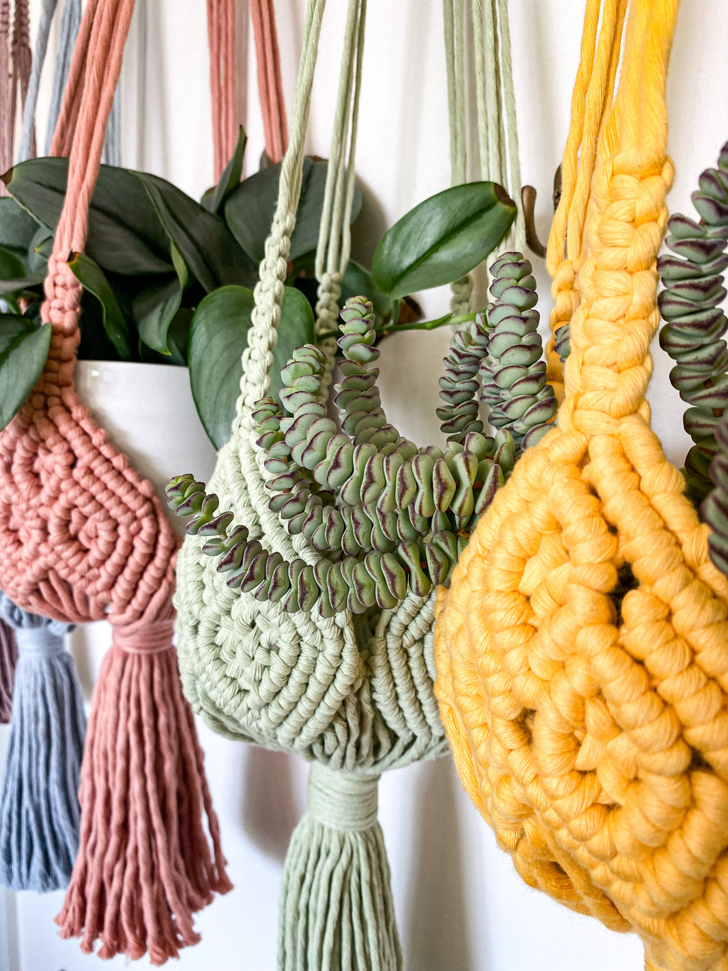 Spring Plant Hangers