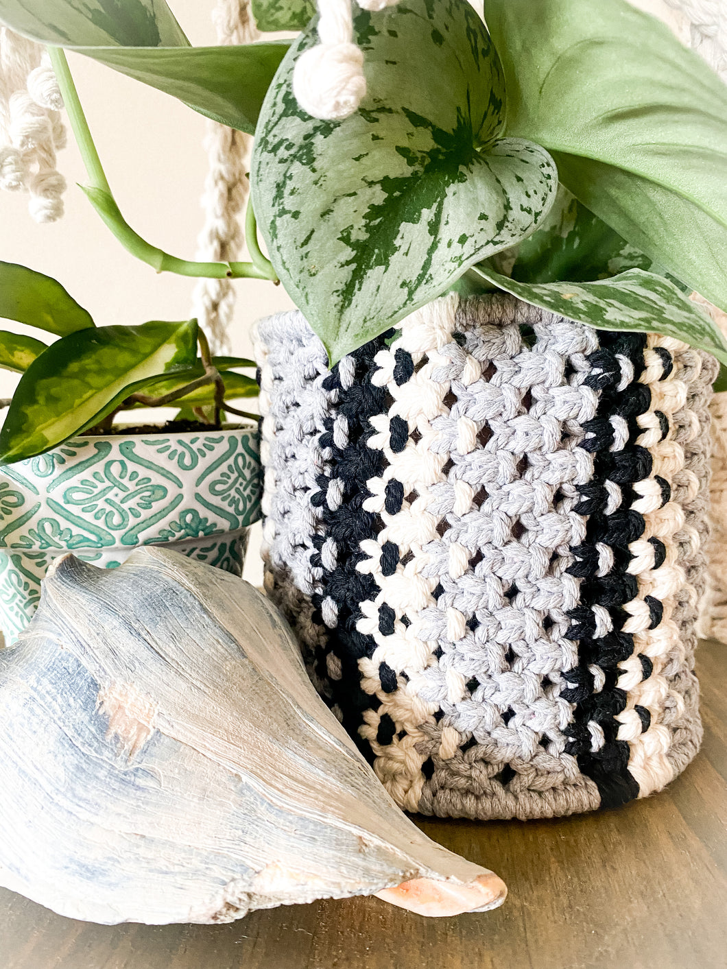 The Cutest Little Macrame Houseplant Basket